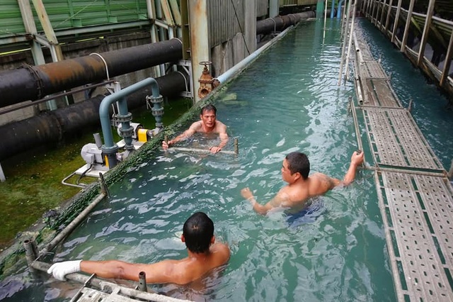 台中鷹架搭設-CNS4750合格鷹架